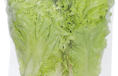 Xưởng sản xuất túi đựng rau sạch siêu thị TPHCM