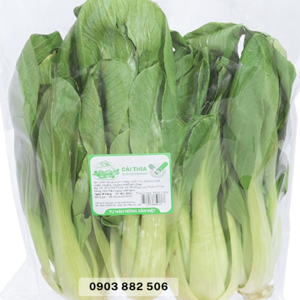 Túi đựng rau củ sạch công nghệ mới